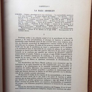 Dos Libros Históricos: El Gobierno Colonial en el Uruguay y Los Tiempos de Artigas - imagen 4