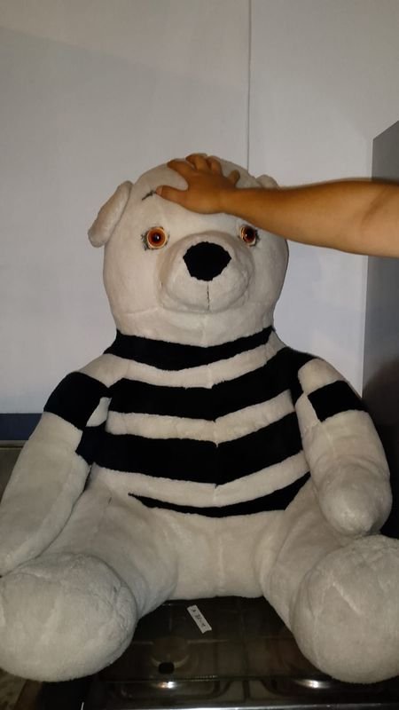 Oso Gigante de Peluche - imagen 2