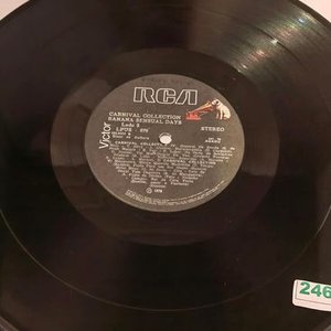 Disco de Vinilo Carnival Collection Starring Banana Sensual Days - imagen 3
