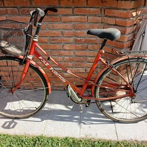 Lote siguiente: Bicicleta de Paseo para Dama "Pole Position"