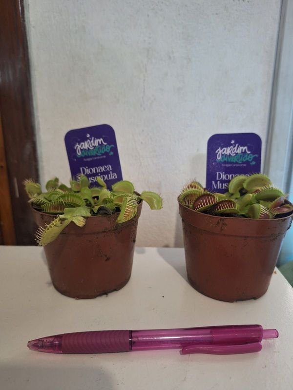 Item 848670 - Image 1