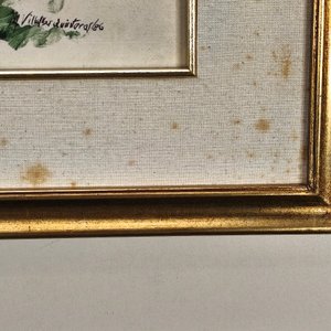 Acuarela y Lápiz "M. Villalba Quinteros" con Marco Dorado - imagen 5