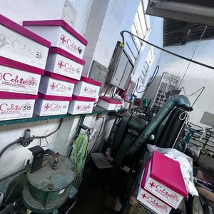 Línea de Trabajo para Fabricación de Calzado con Carritos y Estanterías - imagen 4