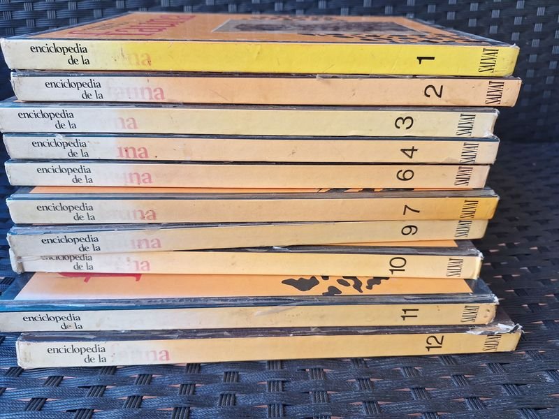 Item 879823 - Image 4