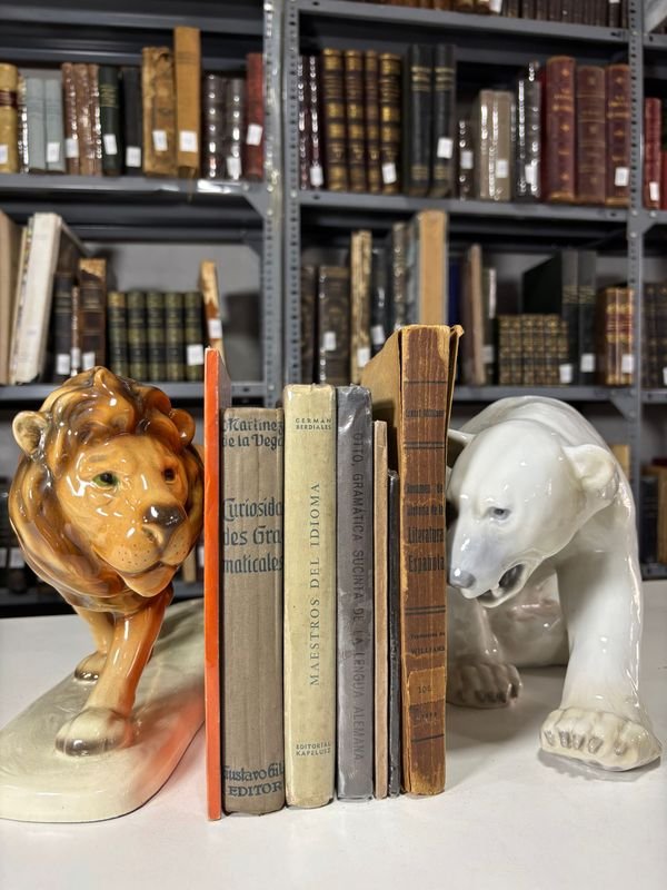Libros de Gramática en Español - imagen 2