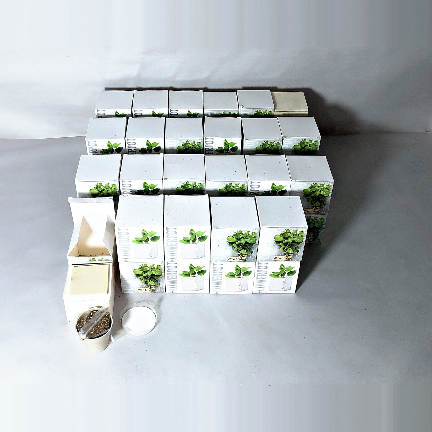 Lote de Cajas Armables con Macetas y Semillas de Hierbas