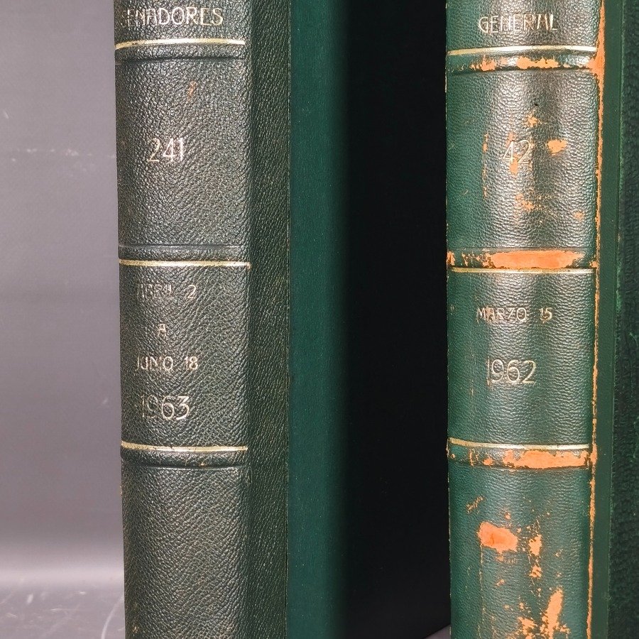 Diarios de la Cámara de Senadores. Dos tomos. Año 1963. - imagen 5