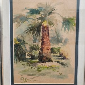 Carlos María Herrera: Acuarela de Palmera Firmada, Marco Plateado - imagen 3