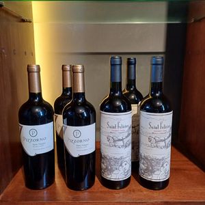 ¡Vinos de lujo! Colección de vinos uruguayos y más (22 lotes)