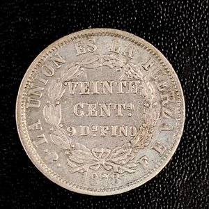 Moneda Boliviana de 20 Centavos de 1878 - imagen 2