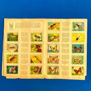 Álbum de Figuritas "Animales de Todo el Mundo" - Colección Fher - imagen 3