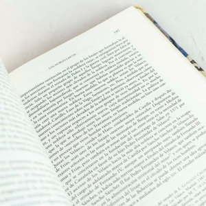 Poder y Relaciones Sociales en Castilla en la Edad Media: Territorios Arlazón-Duero (Siglos X-XIV) por Ignacio Álvarez Borge - imagen 2