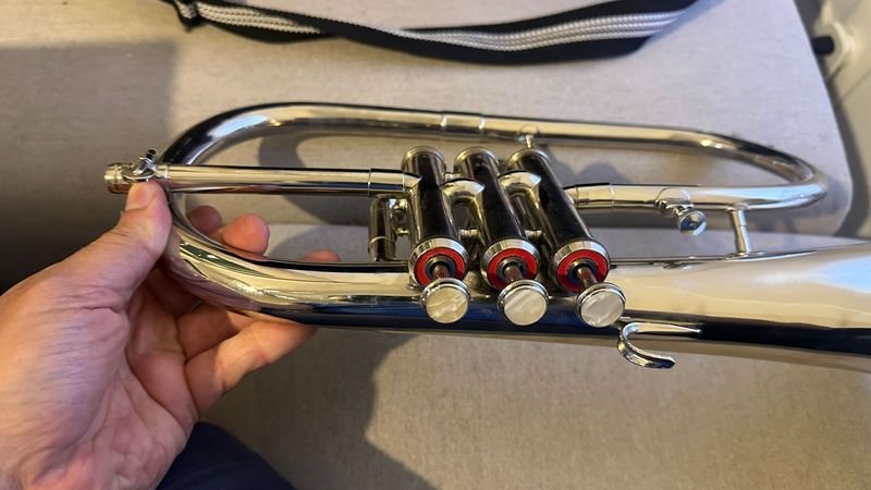 Fliscorno con estuche de música - imagen 6