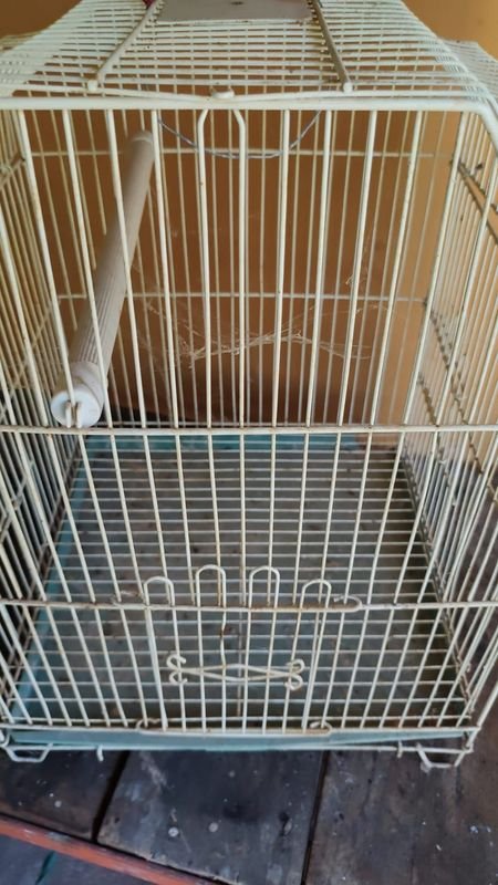 Item 870010 - Image 4