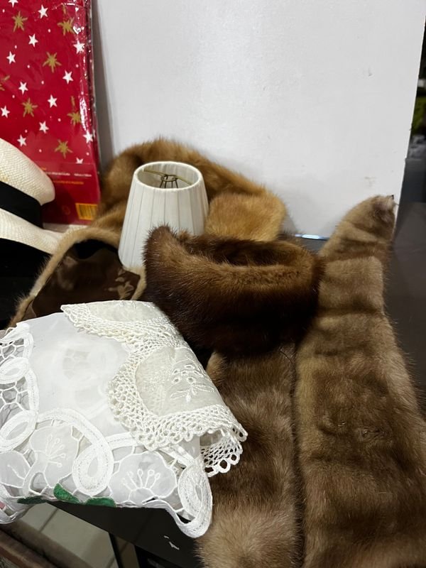 Lote variado de libros y accesorios para la educación - imagen 7