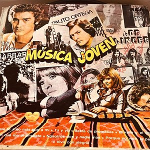 Lote de 47 Discos de Vinilo de Artistas Nacionales e Internacionales - imagen 3