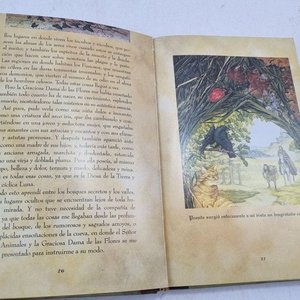 El Libro de Merlín: Magia, Encantamientos y Conjuros - Editorial Edaf - imagen 3