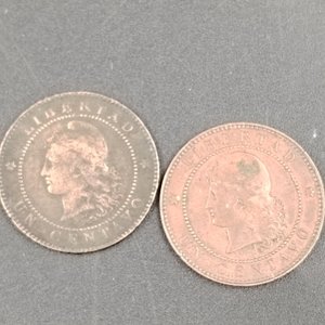 Argentina: Lote de 2 Monedas de 1 Centavo (1883 y 1884) en Bronce - imagen 2