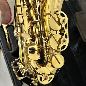Saxofón Alabama Dorado con Estuche - imagen 3