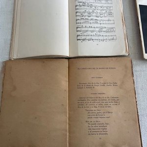 Colección de Libros de Teatro Infantil y Títeres - imagen 3