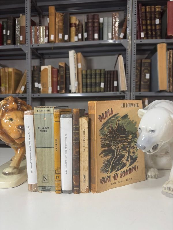 Lote anterior: Novelas Selectas y Estatuas Decorativas