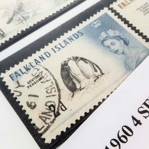 4 Sellos de las Islas Malvinas (Falkland Islands) Año 1960 - imagen 2