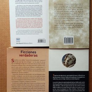 Lote de 4 Libros: Poesía, Ficciones, Diálogos y Grandes Ideas - imagen 2