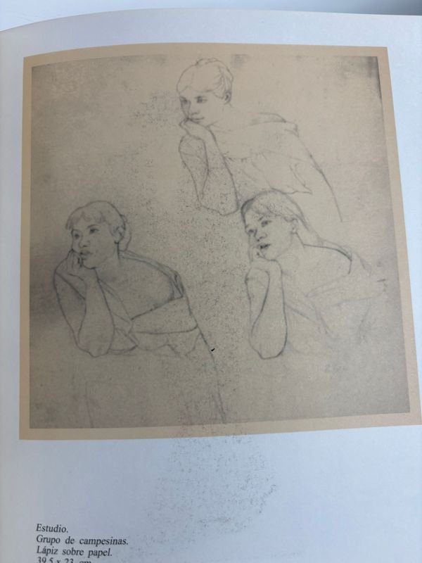 Colección de libros sobre arte y artistas uruguayos contemporáneos - imagen 21