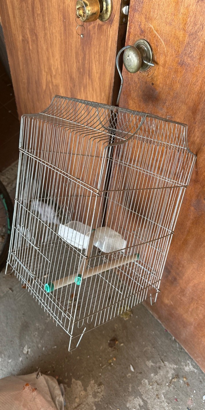 Item 62725 - Image 0