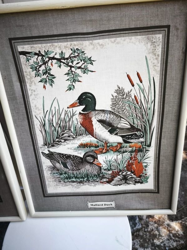 Colección de cuadritos decoración estilo aves - imagen 8