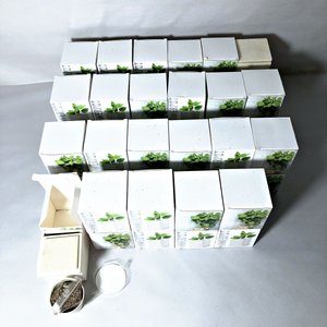 Lote de Cajas Armables con Macetas y Semillas de Hierbas - imagen 2