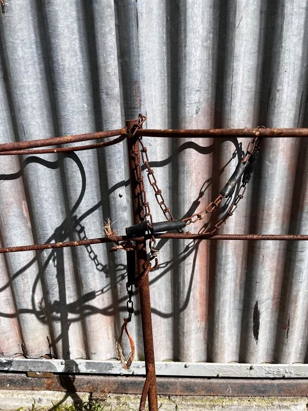 Estaca para Terneros con Dos Baldes Metálicos - imagen 1