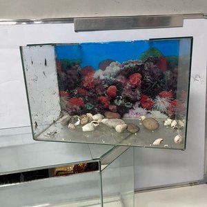 Dos Peceras de Vidrio: Hexagonal y Rectangular con Decoración - imagen 2