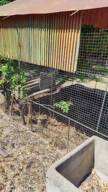 Item 869948 - Image 5