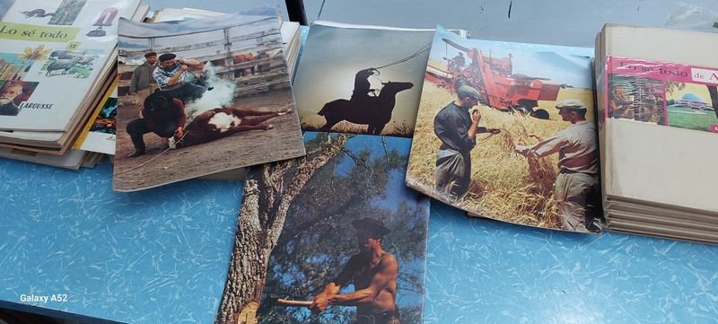 Item 878271 - Image 5