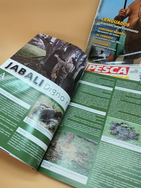Revistas de Pesca y Actividades Al Aire Libre - imagen 10