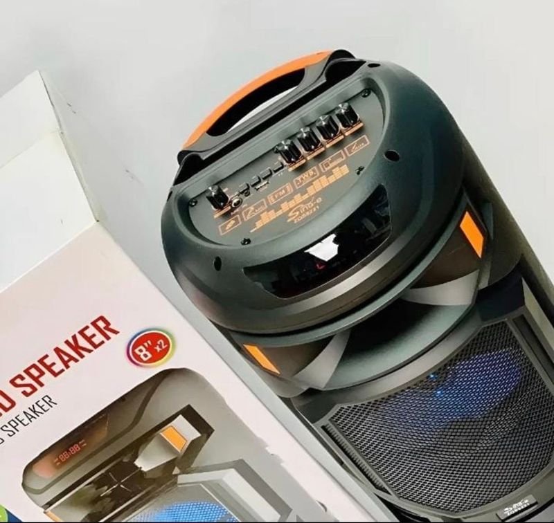 Parlante multiuso potente con Bluetooth y karaoke - imagen 4