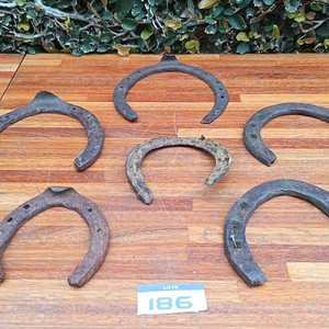 Seis Herraduras Antiguas de Hierro para Colección o Decoración - imagen 3