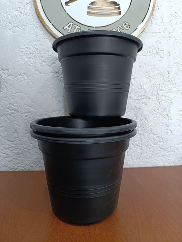 Item 848429 - Image 0