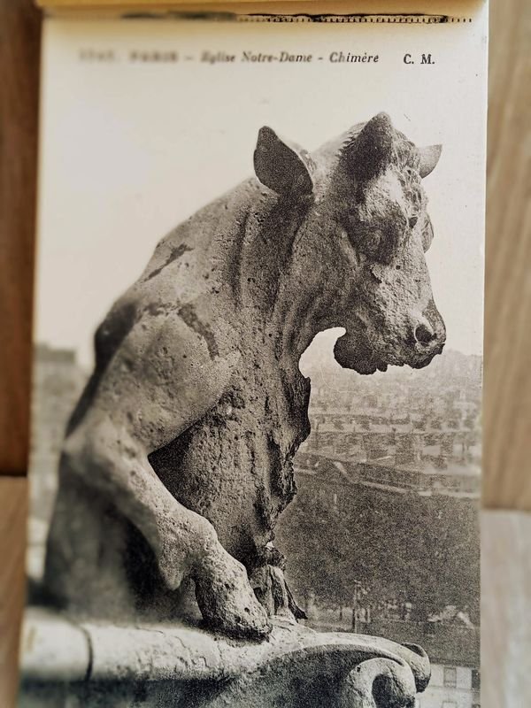 Libro postal con fotografías de la Catedral de Notre Dame - imagen 3