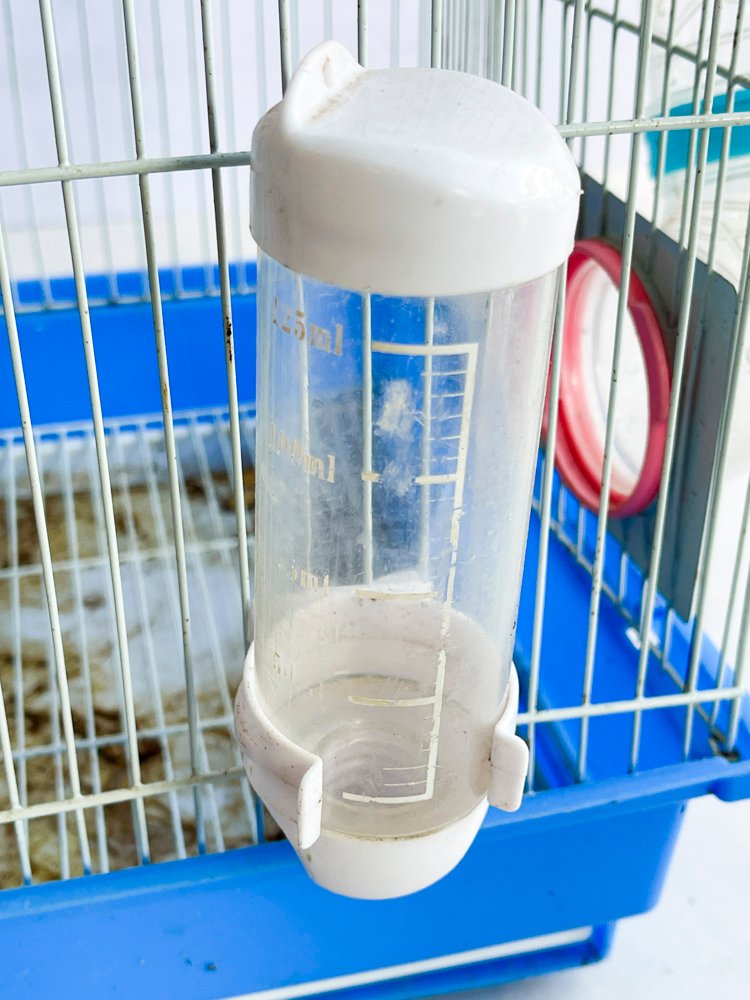 Jaula para Hamsters de Plástico con Accesorios Azules y Rosas - imagen 4