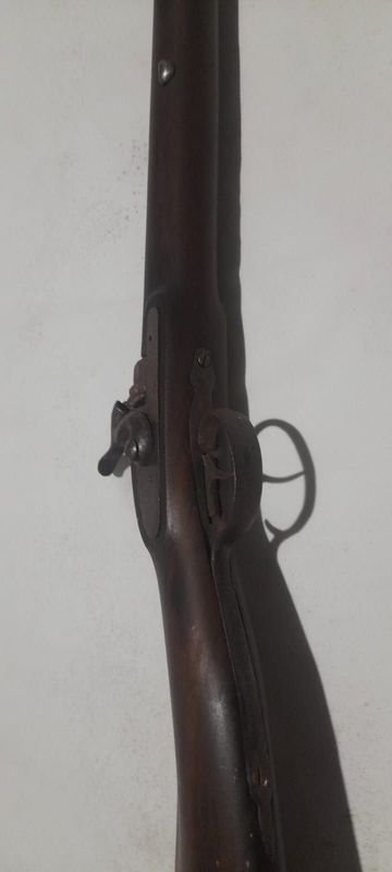 Item 881172 - Image 2