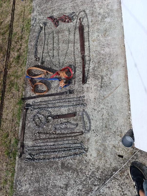 Lote anterior: Collares y Cadenas para Perros