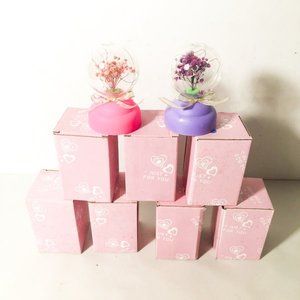 Lote siguiente: Set de 7 Adornos Decorativos con Luces LED y Flores Secas