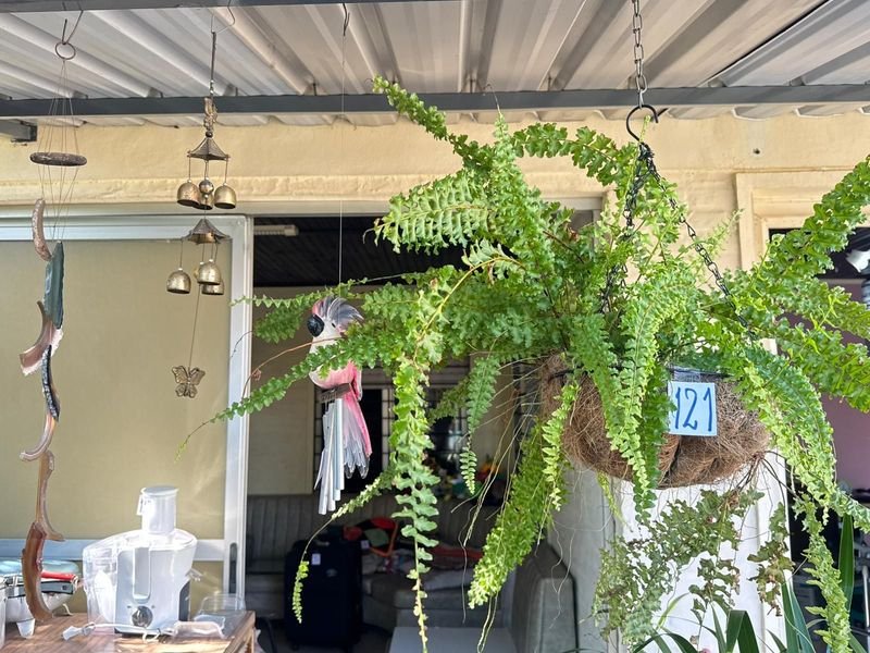 Item 892377 - Image 0