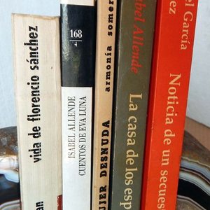 Lote de 5 Libros: Novelas y Cuentos de García Márquez, Allende y Somers - imagen 5