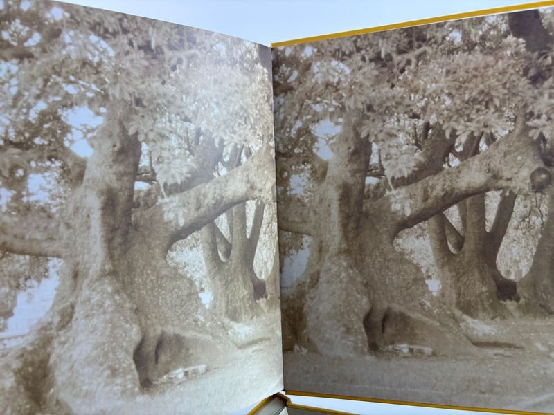 Libro sobre Sudamérica y el MERCOSUR - imagen 9