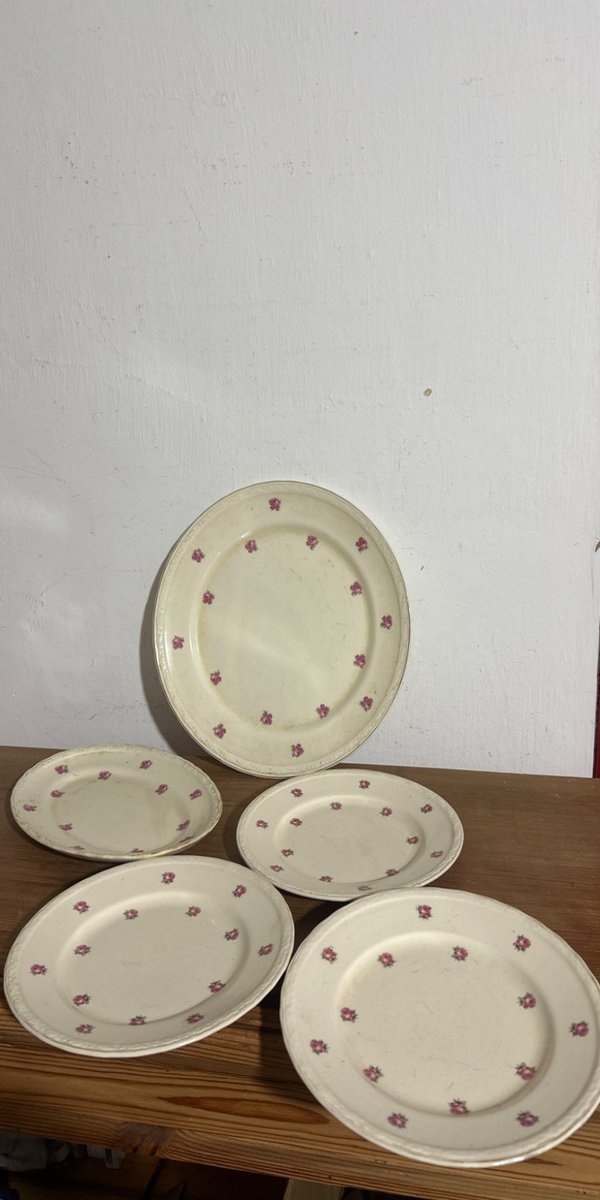 Juego de 4 Platos y Bandeja con Diseño Floral Rosa