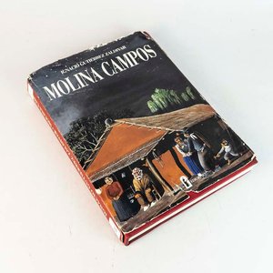 Libro "Molina Campos" por Ignacio Gutiérrez Zaldivar - Tapa Dura con Sobrecubierta - imagen 1
