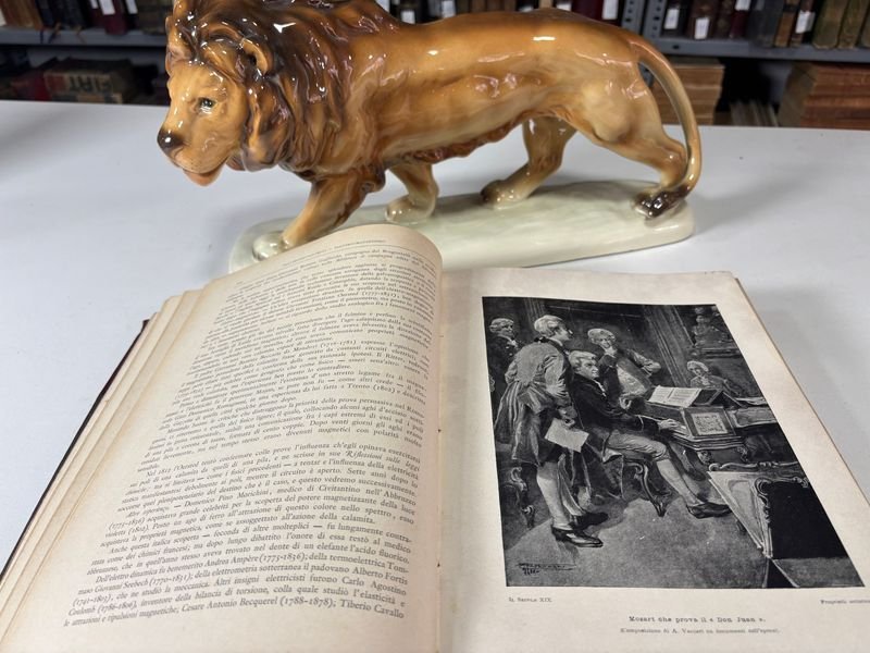 Item 879305 - Image 2